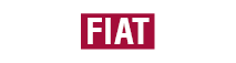 Fiat Icon